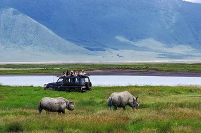 Partez pour un safari d’une journée dans le cratère de ngorongoro. observez les big 5, rencontrez les familles masaï et profitez de safaris avec un guide expert. transfert hôtel inclus.