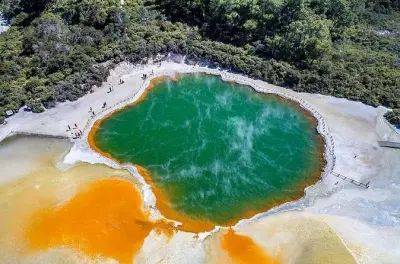 Wai-O-Tapu, redwoods et Blue Spring depuis Hamilton en une journée