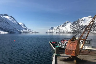 Descubre los fiordos de tromsø en un tesla ecológico. visita kaldfjord, ersfjord y grøtfjord, y disfruta un café en un acogedor café local. 3 horas de aventura.