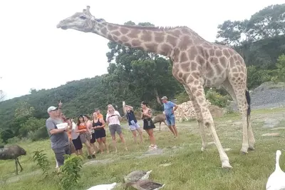 East London : Lodge privé en bord de mer et rencontre avec girafe