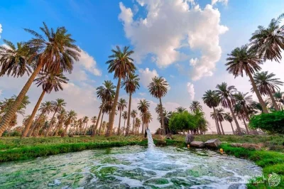 Discover al ahsa oasis with a guided tour—visit the historic 1571 fort, explore ancient markets, and see the famous caves. book your spot today.