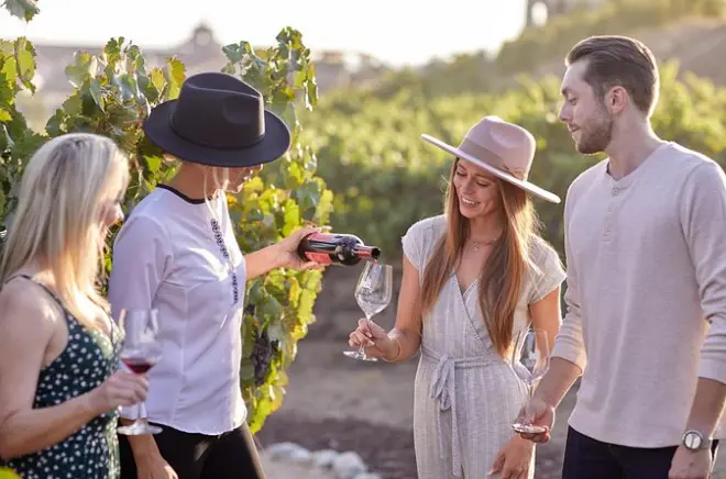 Weinmischung und Food Pairing in Temecula: Kreieren Sie Ihren Wein