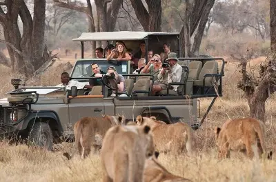 Chobe National Park day trip: Game drive & river cruise