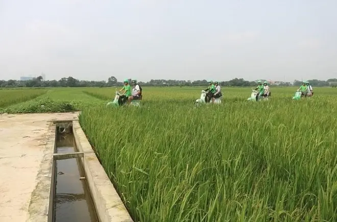 Tour in Vespa a Ninh Binh da Hanoi: Grotte, risaie, barca