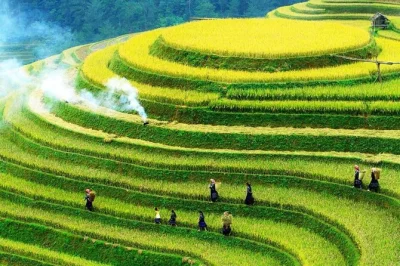 Scopri la vita nella valle di sapa con una passeggiata tranquilla, incontra le comunità giay e h’mong, poi rilassati con un pediluvio dao o un caffè con vista su muong hoa. include trasporto e gui