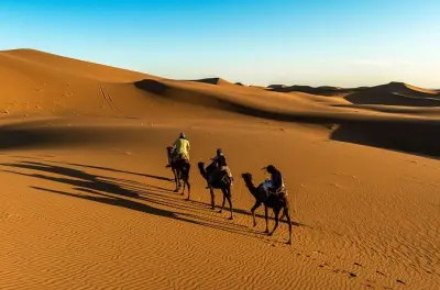 Erg Chigaga Dünen Tagesausflug: 4WD Safari & Kamelritt