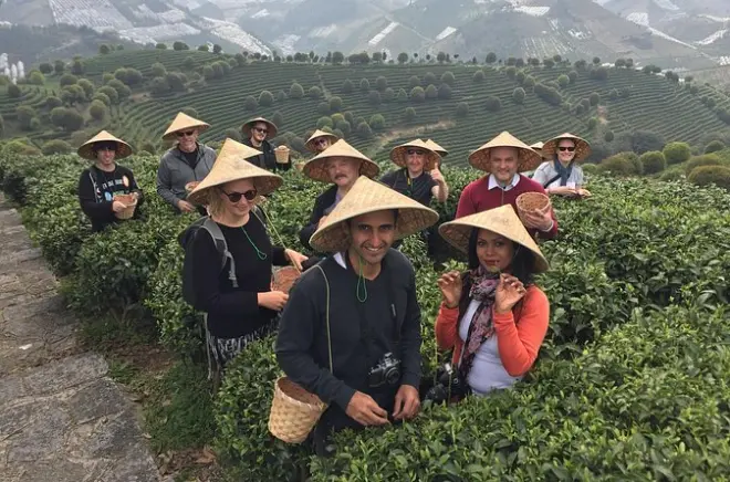 Yangshuo: Raccolta tè e salita a Xianggong Hill con guida privata