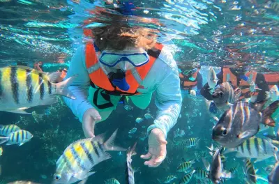 Snorkeling a Isla Mujeres: MUSA, Manchones e El Farito