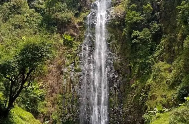 Cachoeira Materuni: Trilha e torrefação de café perto de Moshi
