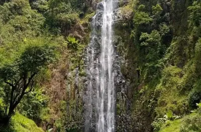 Materuni Wasserfall Tageswanderung: Trekking & Kaffeeröstung bei Moshi