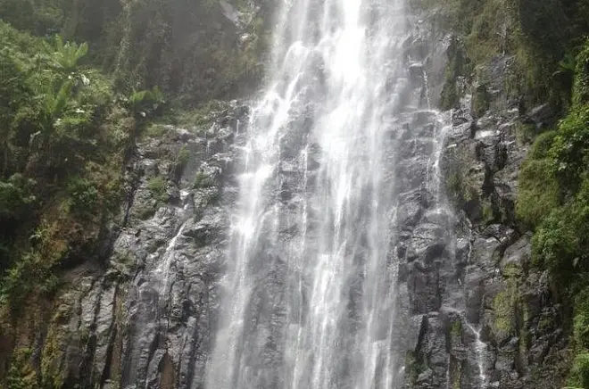 Materuni Wasserfall & Kaffee-Tour ab Moshi: Schwimmen und rösten