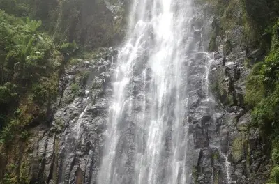 Materuni Wasserfall & Kaffee-Tour ab Moshi: Schwimmen und rösten