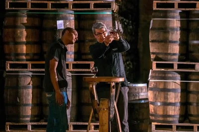 Step inside the ron barceló factory from santo domingo, watch the rum-making process up close, taste dominican rums, and relax with private transport included.