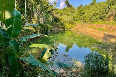 Areca plantation e casa histórica: Zona rural de Karnataka
