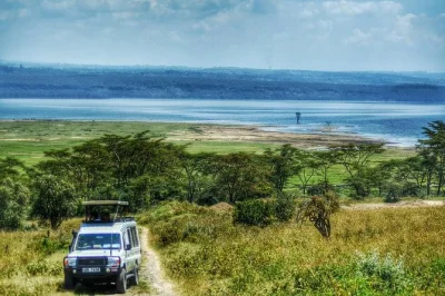Scopri un safari di un giorno al lago nakuru con avvistamento rinoceronti e un giro in barca opzionale al lago naivasha. ritiro incluso a nairobi.