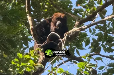 Isla Grande Super Trail: Wanderung mit Highlights
