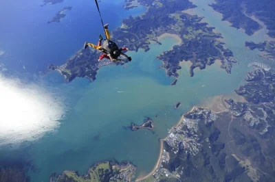 Nerves, laughter, and wild views—skydive over the bay of islands from 12,000ft with a pro instructor. includes pickup from paihia or kerikeri and all safety gear.