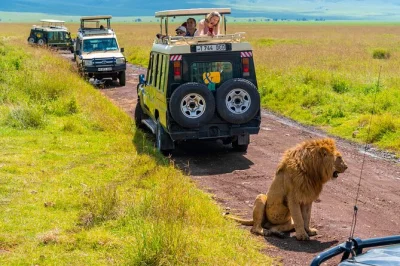 Experience a luxury 3-day safari in tanzania. spot elephants in tarangire, flamingos at lake manyara, and explore ngorongoro crater wildlife.