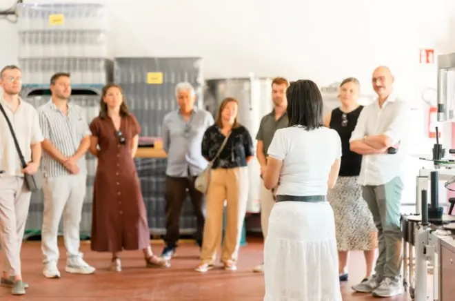 Villamagna wine tasting Abruzzo: 3 DOC wines in Italy