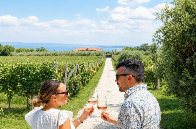 Moniga del Garda Wine Tasting: 4 Wines & Cellar Tour