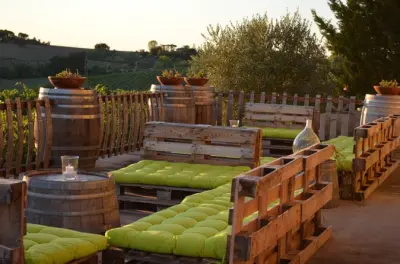 Organic Wine Tasting near Rimini: 5 wines with local food