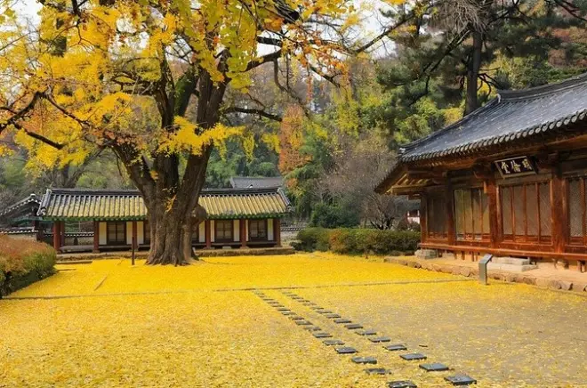 Jeonju Hanok Village & Maisan Mountain Privattour mit lokalem Guide