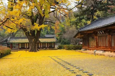 Jeonju Hanok Village & Maisan Mountain Privattour mit lokalem Guide