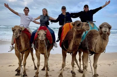 Tour privado de dia inteiro em tânger com guia local. conheça o cabo spartel, ande de camelo em achakar, explore a gruta de hércules, mercados da medina e aproveite o café hafa com vista.