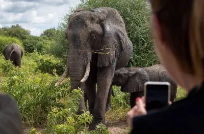 Safari Game Drive and Rhino Walk: Mosi-oa-Tunya National Park