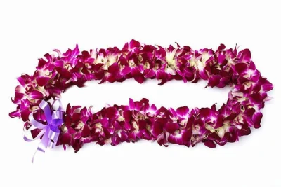Chegue em maui com uma recepção especial no aeroporto kahului: lei de orquídeas frescas e boas-vindas tradicionais havaianas. reserve com 48h de antecedência.