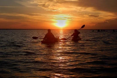 Kayak at sunset on merritt island, spot birds and manatees, then paddle into glowing bioluminescence. small group tour with guide. book your spot now.