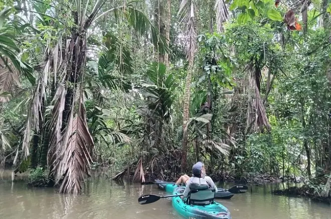 Caiaque nos canais de Tortuguero: Remada privada na floresta