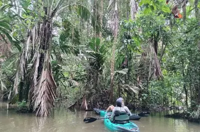 Kajakfahren in den Tortuguero-Kanälen: Private Regenwald-Tour