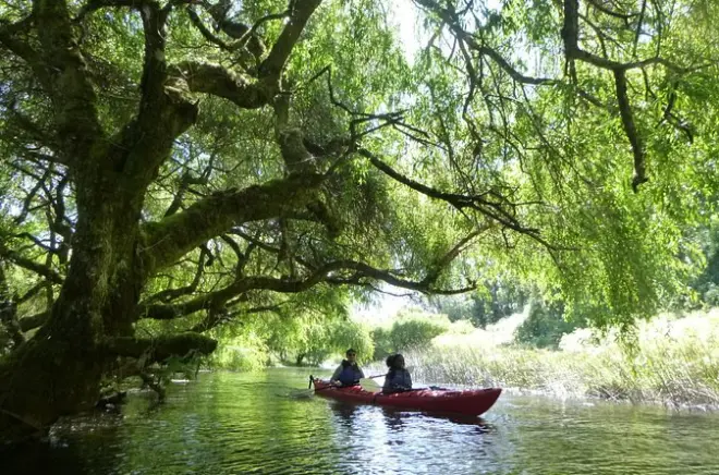 Caiaque perto de Puerto Varas: Vulcões Osorno e Calbuco
