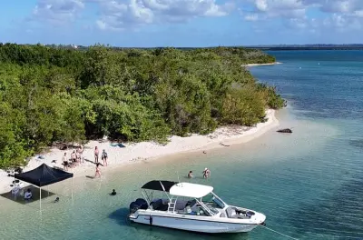 Guadeloupe lagoon tour: Mangrove, islands & coral reef