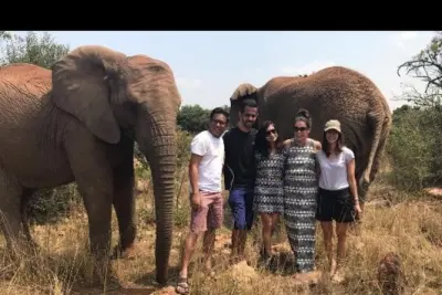 Elefanten-Spaziergang in Johannesburg: Afrikanische Elefanten hautnah