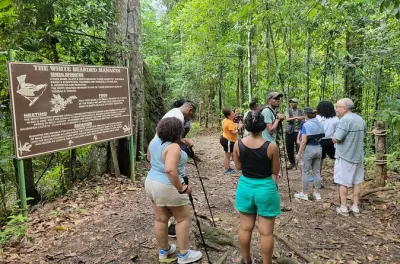 Tour nature à Trinidad : Asa Wright Centre depuis Port of Spain