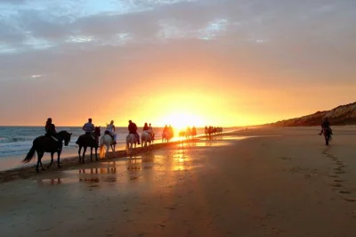 Ride horses at sunset on puerto plata’s beaches, swim with your horse, and relax at bergantin bar. includes pickup, drinks, and local guide. book now!