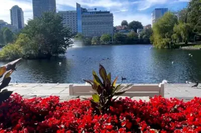 Stavanger walking tour: Nordic facts and local stories
