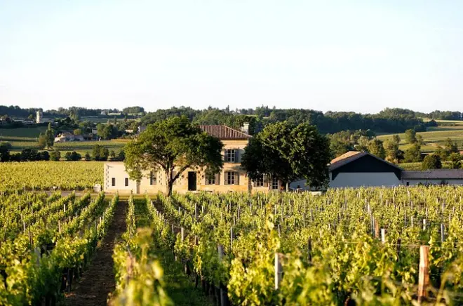 Tour de cata de vinos en Château Grangey, Saint-Emilion