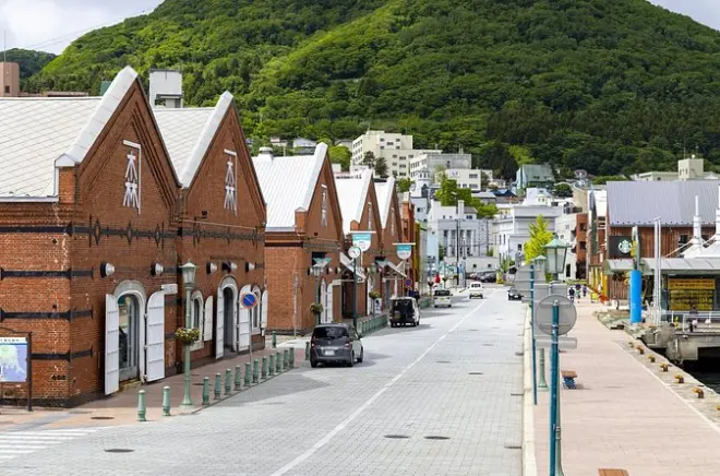 Dal porto di Hakodate: Mercato e vista panoramica a scelta