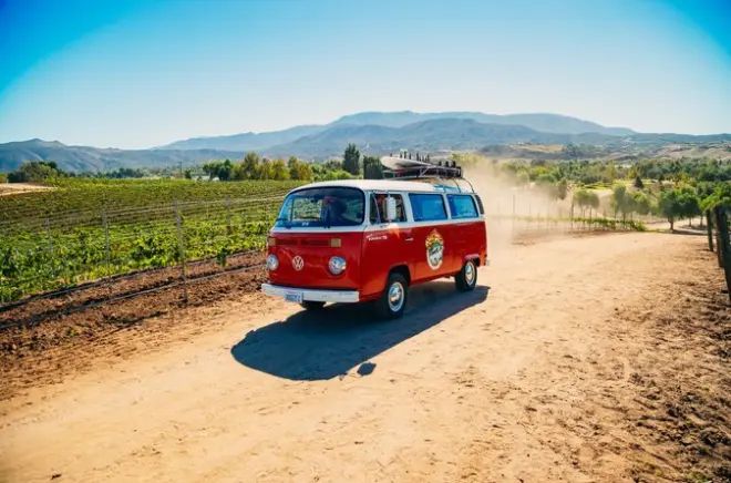 Temecula Weinprobe an 3 Weingütern im VW-Bus mit 4–6 Proben