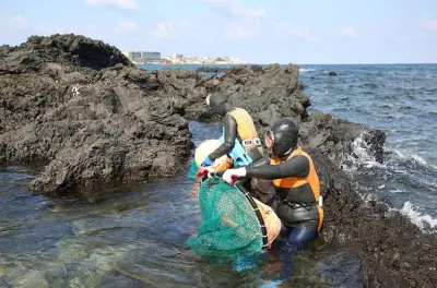 Jeju Haenyeo Erlebnis & UNESCO Tour: Treffen Sie lokale Taucher