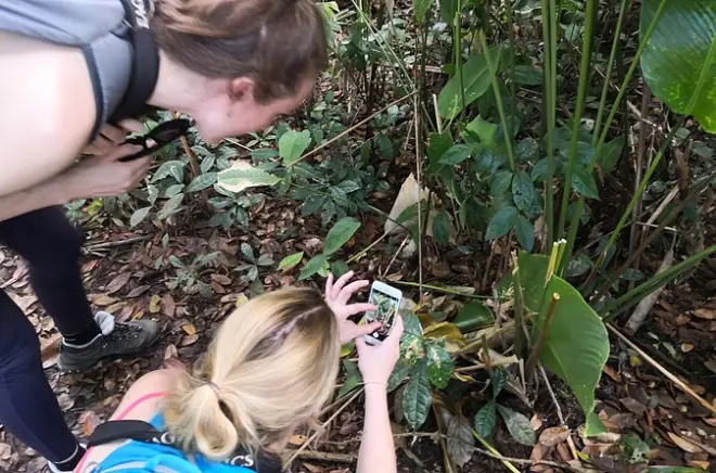 Passeggiata nel parco nazionale Tortuguero con guida naturalista