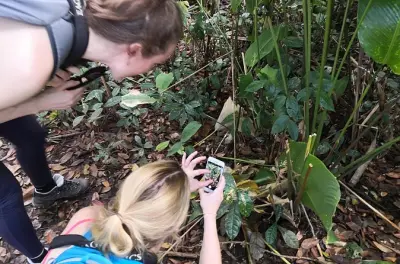 Passeggiata nel parco nazionale Tortuguero con guida naturalista