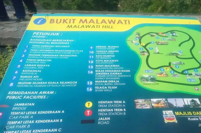Kuala Selangor fireflies and eagles tour from Kuala Lumpur
