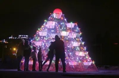 Tour serale in bus dalle luci di Natale da St John's a Port de Grave
