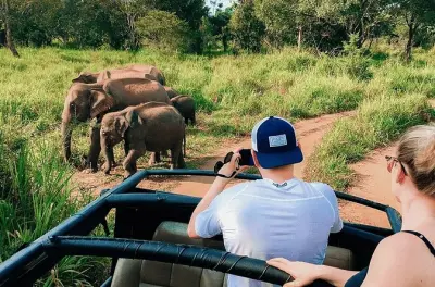 Polonnaruwa and Hurulu Eco Park Safari: Ruins & Wildlife