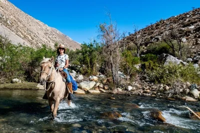 Ride gentle horses along the cochiguaz valley, explore the andes foothills, and experience authentic chilean horseback riding with local guides.