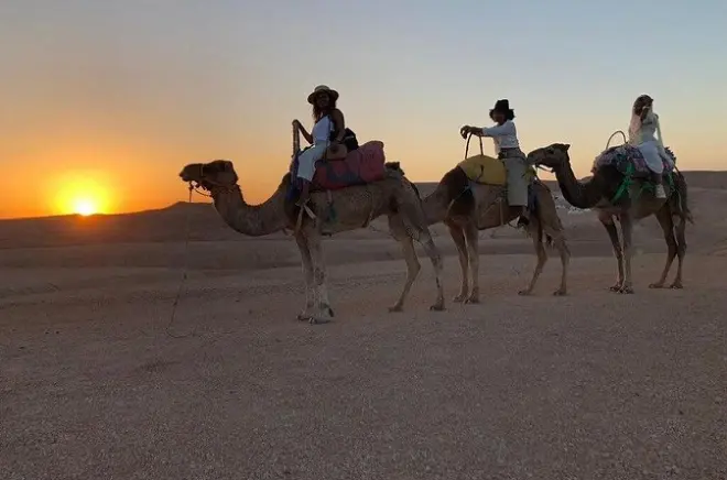 Agafay Sunset Camel Ride and Dinner Show from Marrakech
